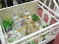 Detailed-dollshouses